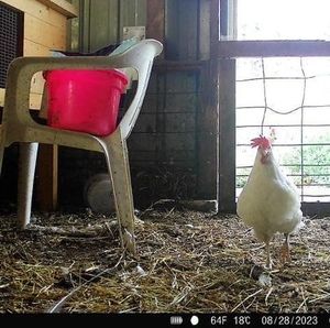 Meet your Posher, Jenny
